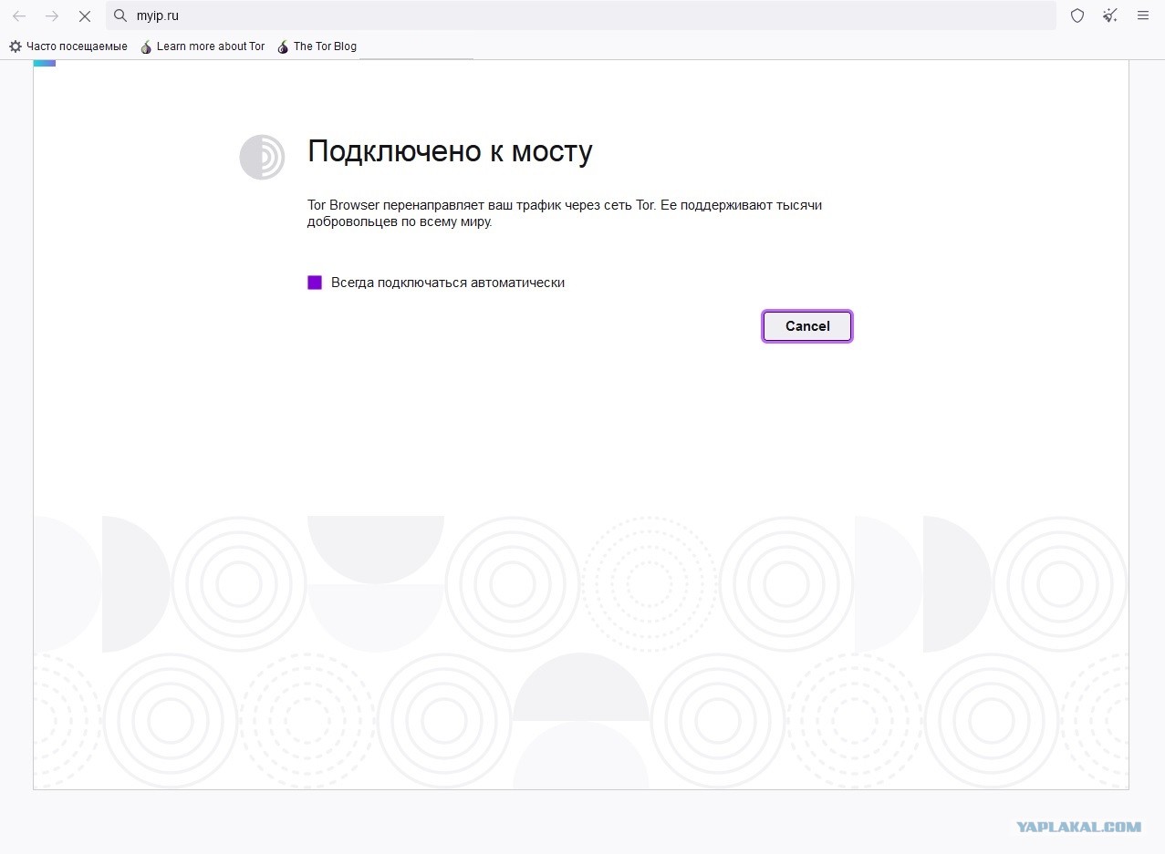Кракен сегодня сайт зеркало