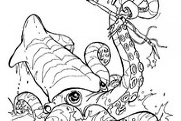 Kraken 12at