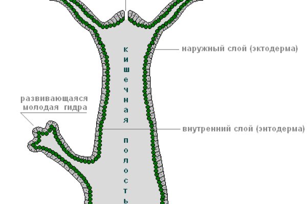 Ссылки сайтов даркнета