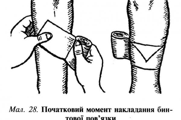 Можно вывести деньги с кракена