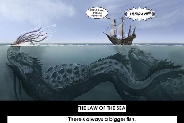 Kraken 20at
