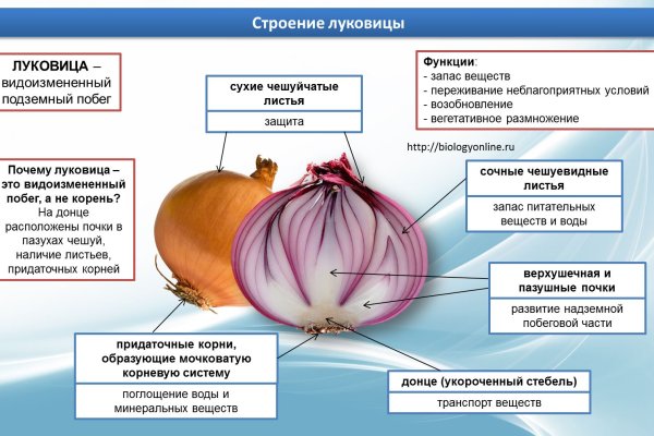 Кракен купить в москве порошок